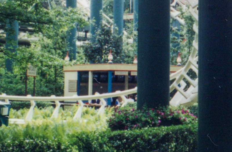 Bestand:PythonPadjuni1995crop.jpg