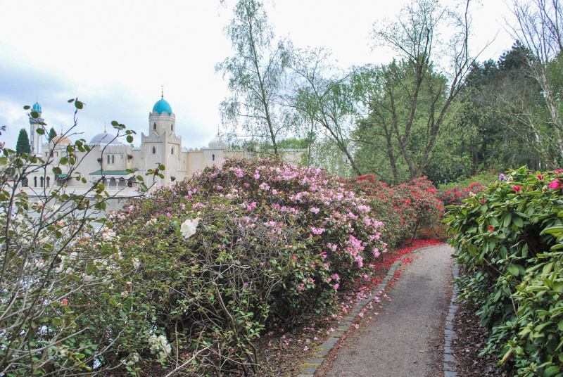 Bestand:Vonderplas-route-bloemen-april2010.jpg