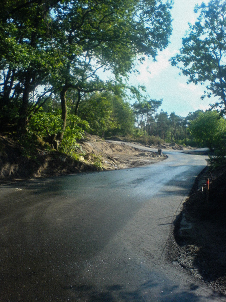 Bestand:Bosrijkbouw-padlinks-juli2008.jpg