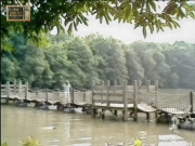 De <a href="/lemma/Wankelbrug" title="Wankelbrug">Wankelbrug</a>, zoals te zien in Op Volle Toeren in <a href="/lemma/1983" title="1983">1983</a>