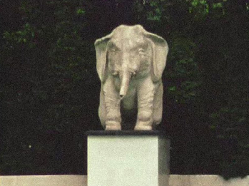 Bestand:Olifant1981.jpg