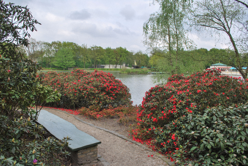 Bestand:Vonderplas-route-bankje-april2010.jpg