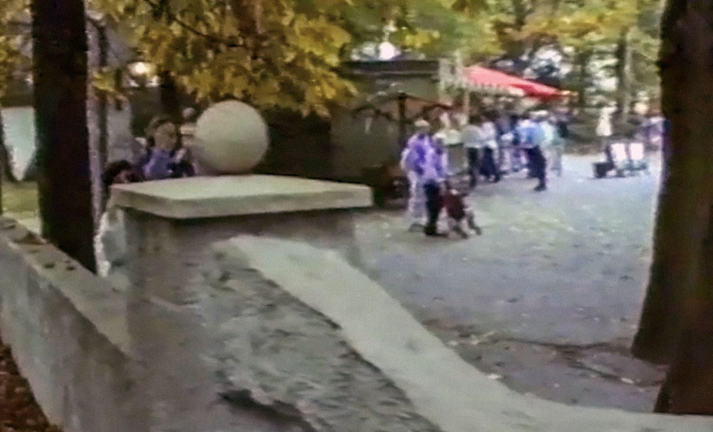 Bestand:Zwarteschaep-1989.jpg