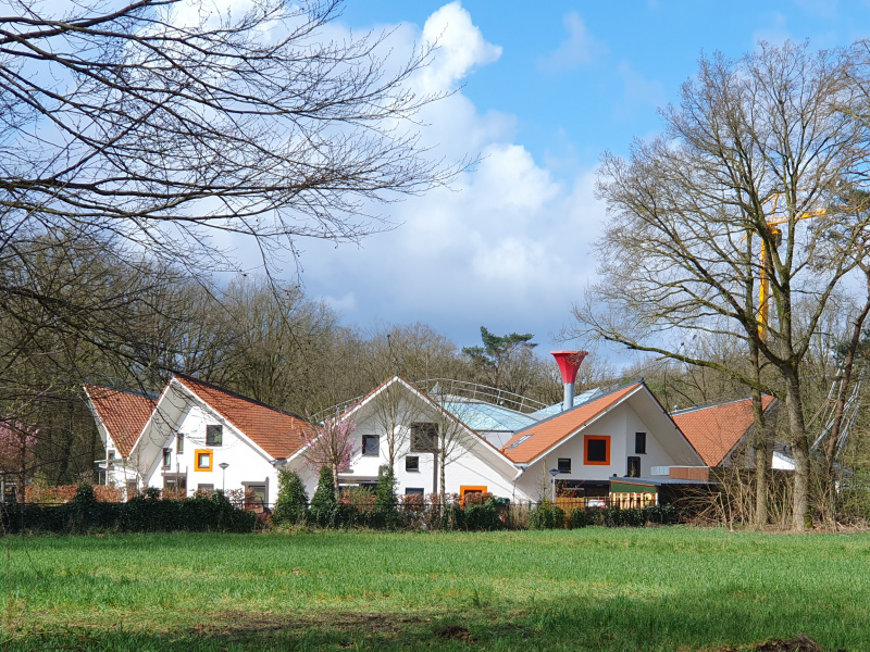 Bestand:VillaPardoesBloem.jpg