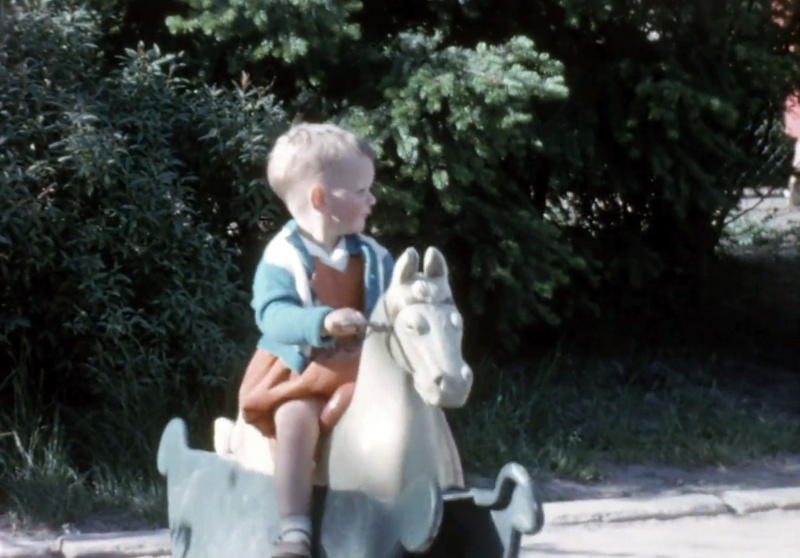 Bestand:Hobbelpaard1962.jpg