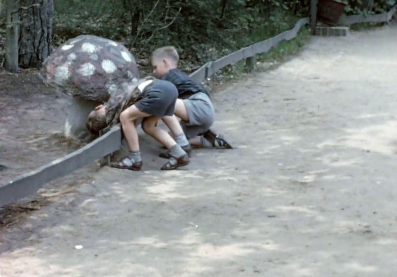 Bestand:Muzikalepaddestoel1962.jpg