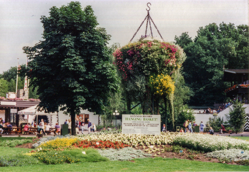 Bestand:HangingBasketjuni1995.jpg