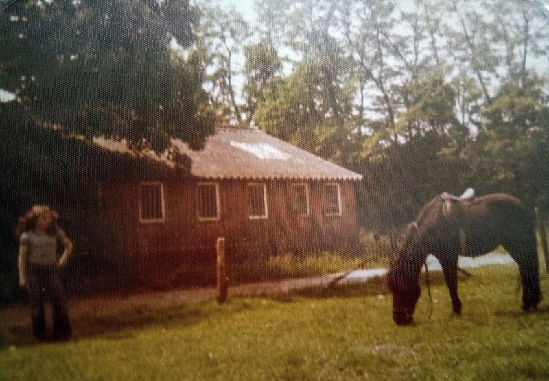 Bestand:Manege-gabriels-fata-01.jpg