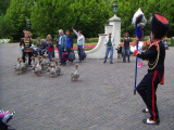 Ganzenfanfare 2006 2