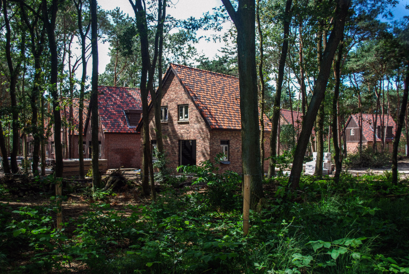 Bestand:Bosrijkbouw-boshuizen-straatje-juli09.jpg