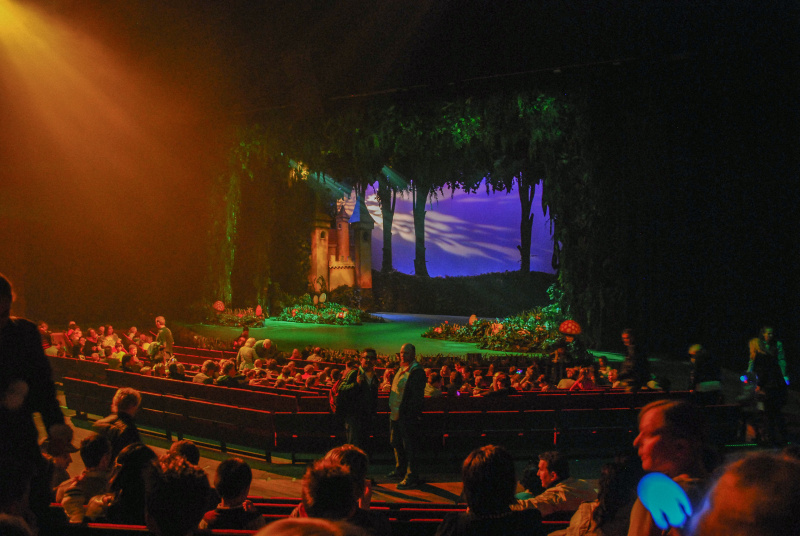 Bestand:Theater-zaal-sprookjesboomdemusical-mei2010.jpg