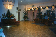 De lobby van het <a href="/lemma/Efteling_Hotel" title="Efteling Hotel">Efteling Hotel</a> met kerstbomen tijdens kerst <a href="/lemma/1992" title="1992">1992</a> of <a href="/lemma/1993" title="1993">1993</a>, een gordijn voor <a href="/lemma/De_Hoffelijke_Heraut" title="De Hoffelijke Heraut">De Hoffelijke Heraut</a> vanwege sluiting.