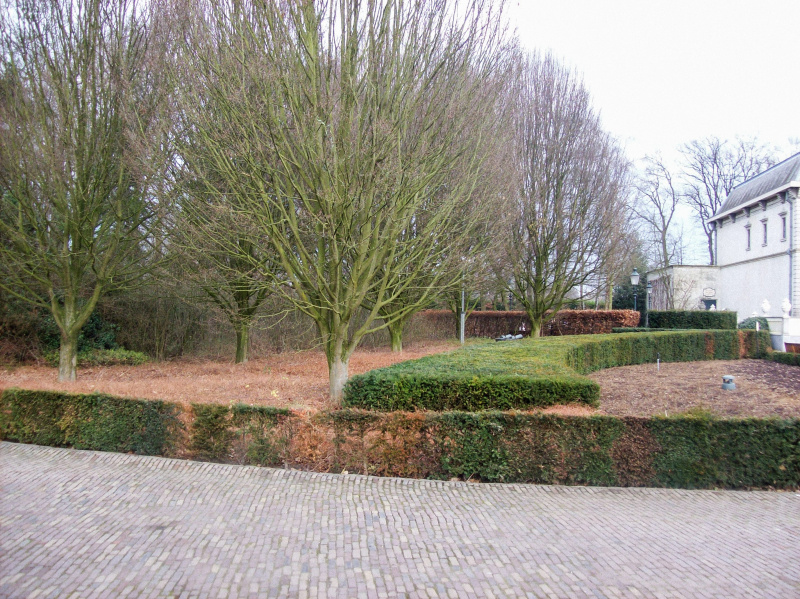 Bestand:Raveleijnplek-villavolta-dec2008.jpg