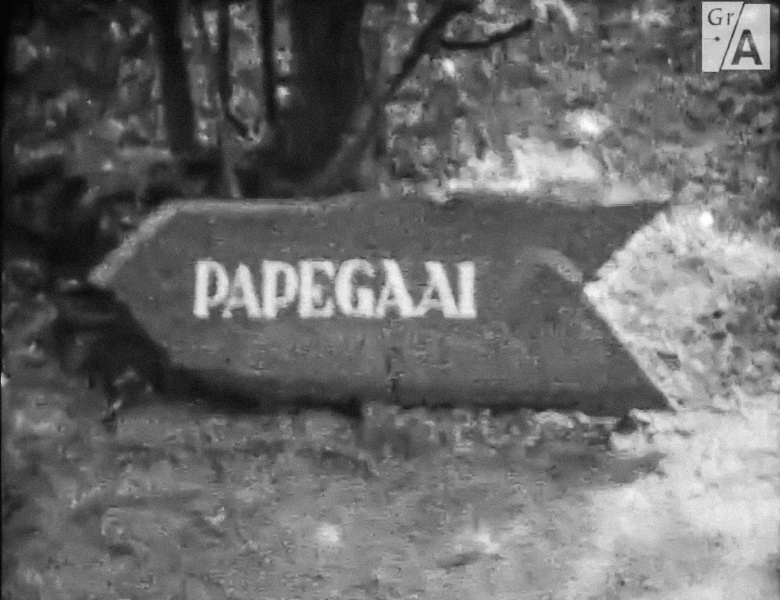 Bestand:Papegaai-bord1957.jpg